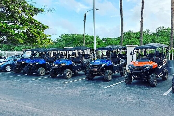 6 Seater Utv Rental Aruba - Key things to know