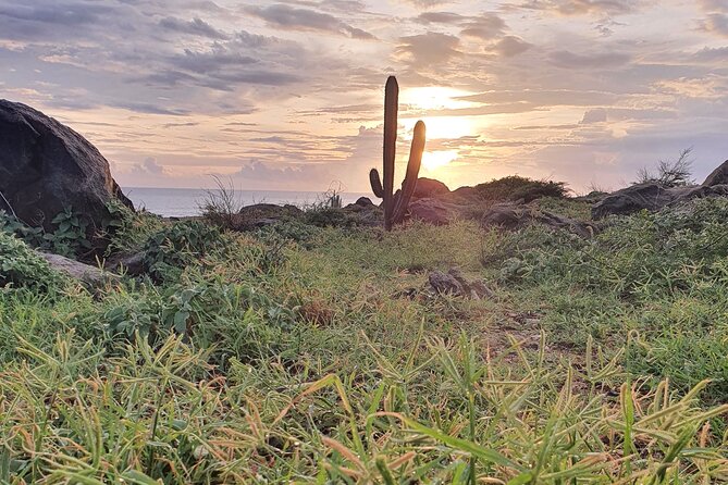 Arikok Sunrise Hiking Tour to Natural Pool + Transportation - Price and logistics: is $110 worth it?