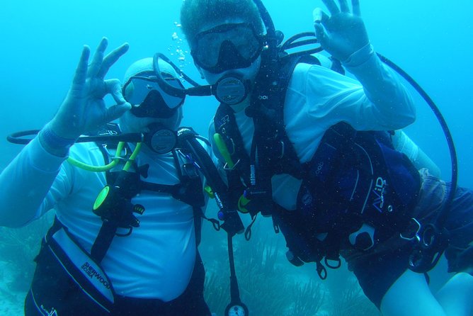 Aruba 1-Tank guided Dive for certified divers with own equipment - Your Gear Is the Main Character Here (So Set It Up Like You Mean It)