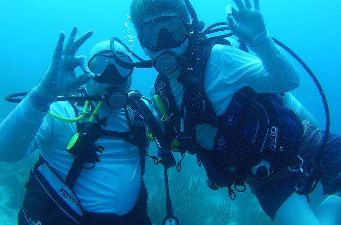 Aruba 1-Tank guided Dive for certified divers with own equipment - After Your Session: The 24-Hour No-Fly Rule