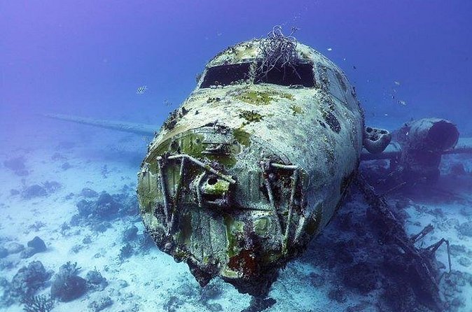 Aruba 1-Tank guided Dive for certified divers with rental equipment - The timing puzzle: morning window vs the afternoon start