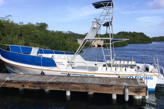 Aruba 2-Tank guided Dive for certified divers / own equipment - Key things to know before you go