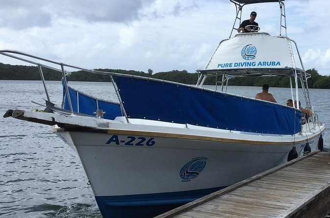 Aruba 2-Tank Guided Dive for Certified Divers / rental equipment - How the Guides Work (PADI/SDI) and Why Small Groups Matter