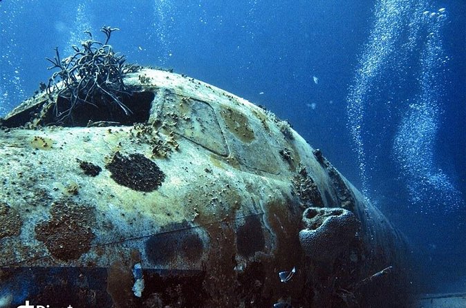 Aruba 2-Tank Guided Dive for Certified Divers / rental equipment - Gear Included, but Comfort Is Still Your Job (Bring What Fits)