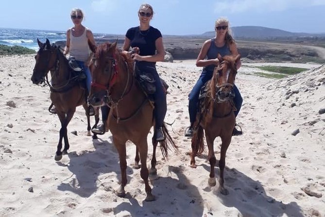 Aruba 2,5 hrs Horseback Riding For Advanced Riders - The Skill Check: How the Guide Shapes Your Ride