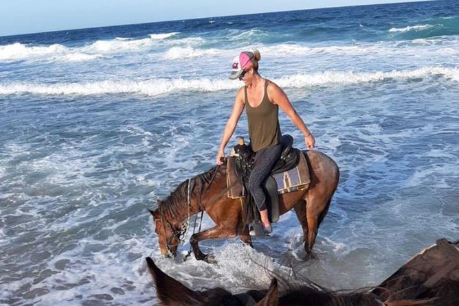Aruba 2,5 hrs Horseback Riding For Advanced Riders - The North Coast Stretch: Views, Wind, and Rocky Shorelines