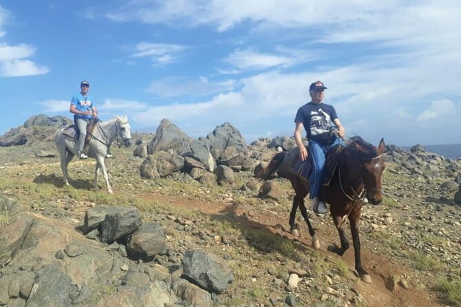 Aruba 2,5 hrs Horseback Riding For Advanced Riders - After the Ride: Ranch Bar Time and the Return to Your Hotel