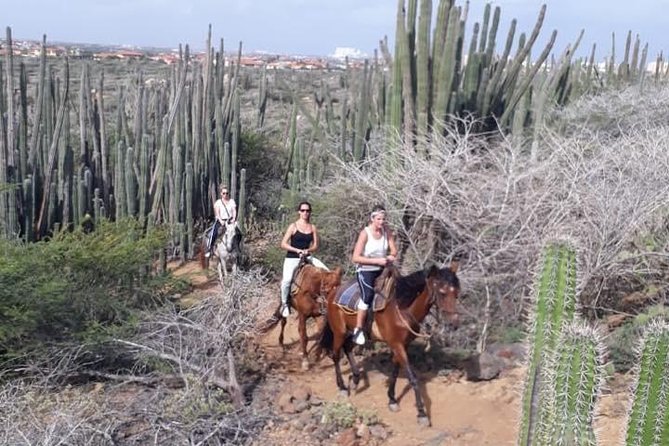 Aruba 2,5 hrs Horseback Riding For Advanced Riders - Riding Away From the Road: What the Country Route Feels Like
