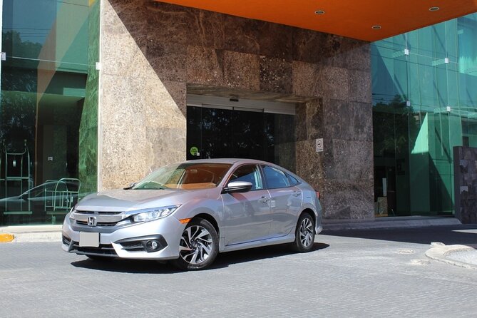 Aruba Airport (AUA) to Aruba island - Arrival Private Transfer - Who Should Book This Aruba Airport Transfer (and Who Might Not)