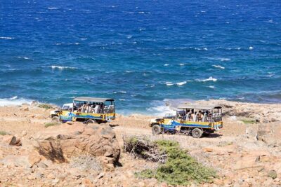 Aruba Cave Pool and Secret Beach Safari Tour - Pickup, small-group feel, and the ride reality