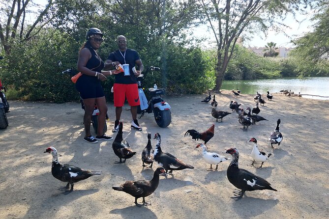 Aruba Electric Scooter Rental (1 or 2-seater) - Comfort Details That Matter More Than You Think