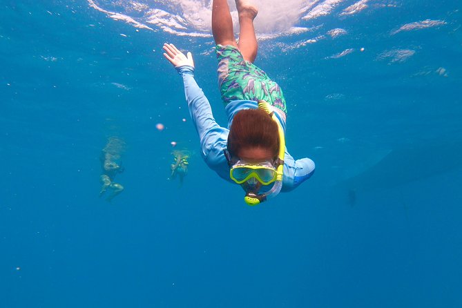 Aruba Element Private Boat Charter (After-Lounge) - Mangel Halto snorkeling: shipwrecks, coral, and about an hour to play