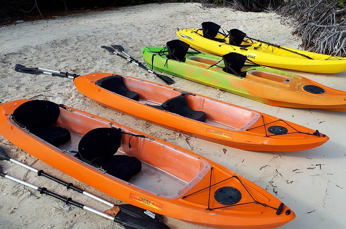 Aruba Glass Bottom Kayak Tour through the Mangrove Forest - Gear, limits, and the reality check on comfort
