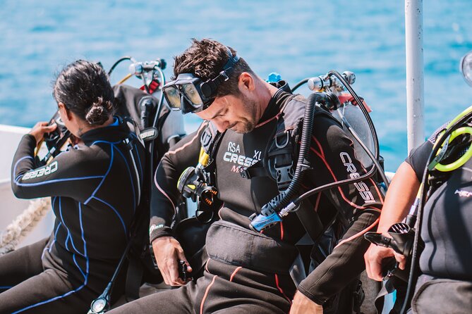 Aruba Guided Night Dive Adventure: Shallow Reefs or Shipwrecks - Key things I’d pencil in before you go