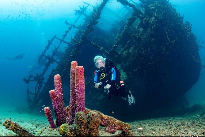 Aruba Guided Night Dive Adventure: Shallow Reefs or Shipwrecks - Meeting at Piet’s Pier Bar and Getting Ready for Night Water