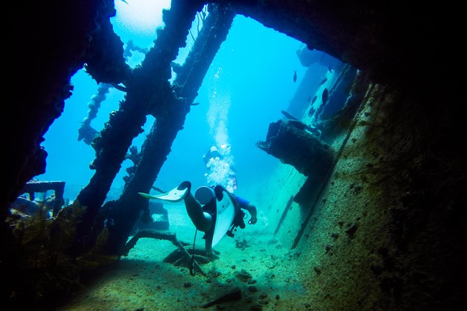 Aruba Guided Night Dive Adventure: Shallow Reefs or Shipwrecks - Instructor-Led Guidance You Can Actually Use (Including the Human Touch)