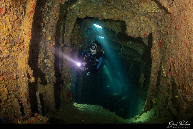 Aruba Guided Night Dive Adventure: Shallow Reefs or Shipwrecks - Gear, Weights, and the Real Cost of Going (What’s Included vs. What’s Not)