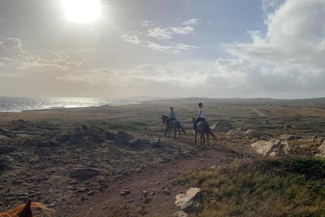 Aruba Horseback Riding Tour to Alto Vista Chapel - Food, Drinks, and the Country Bar Bonus