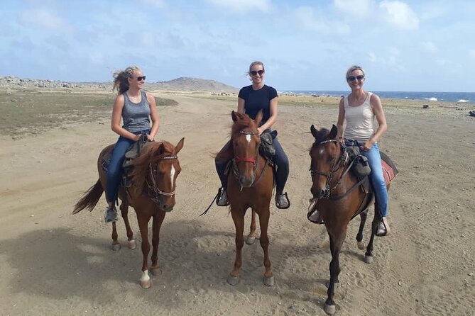 Aruba Horseback Riding Tour to Alto Vista Chapel - Who Should Book This Horseback + Chapel Tour