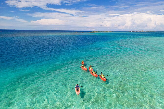 Aruba Kayak Explorers - Spanish Lagoon and Mangel Halto: the real appeal of this kayak-snout combo