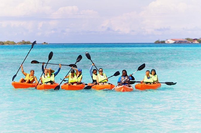 Aruba Kayak Explorers - Mangel Halto Beach and the guided reef snorkel