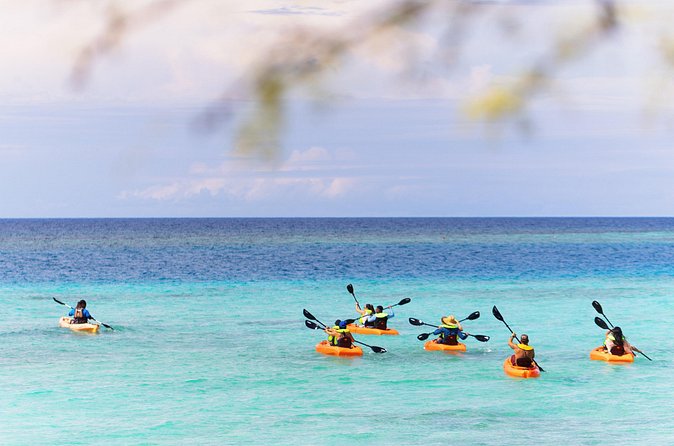 Aruba Kayak Explorers - Guides and safety: why the human factor is the highlight