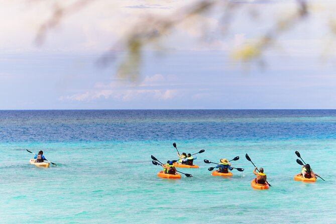 Aruba Kayak Explorers - What your 5 hours looks like (and why the flow matters)
