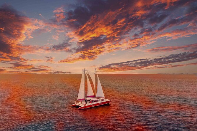 Aruba Morning Snorkeling or Sunset Sail to Boca Catalina With BBQ - Quick hits: why this Aruba sail-and-snorkel works