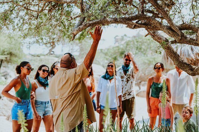 Aruba Natural Wonders Caves and Natural Pool Jeep Tour - Conchi Natural Pool: Swim or Snorkel, With Crowds and Water Clarity in Mind