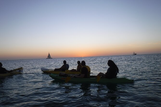 Aruba Night Glass Kayak Tour - Aruba Night Kayaking Off Arashi Beach: A Simple Plan That Feels Special