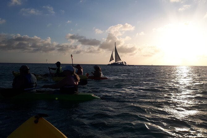 Aruba Night Glass Kayak Tour - Paddling Effort, Water Conditions, and Who This Fits Best