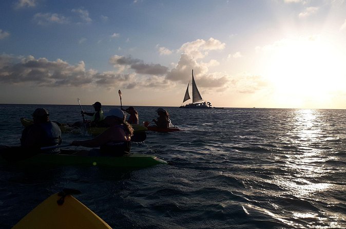 Aruba Night Glass Kayak Tour - Food, Photos, and What to Bring for a Better Night on the Water