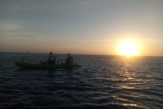 Aruba Night Glass Kayak Tour - Price and Value: How $80 Makes Sense for This Kind of Experience
