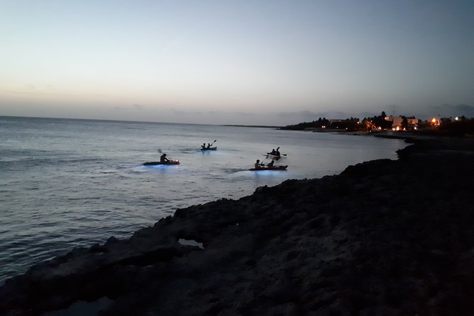 Aruba Night Glass Kayak Tour - LED Floodlights and Reef Viewing: How to Get Real Underwater Results