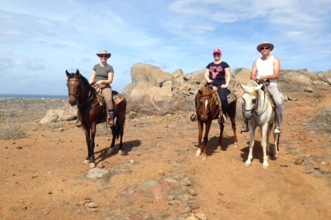 Aruba Private, 2 Hour Horseback Riding Tour For Advanced Riders - Key points at a glance