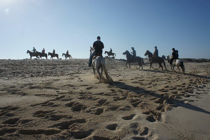 Aruba Private, 2 Hour Horseback Riding Tour For Advanced Riders - Before you mount: waivers, helmets, and how the guide sets the ride