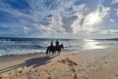 Aruba Private, 2 Hour Horseback Riding Tour For Advanced Riders - Getting there: hotel pickup, timing, and Rancho Notorious
