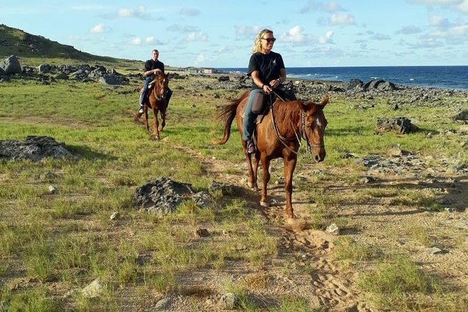 Aruba Private, 2 Hour Horseback Riding Tour For Advanced Riders - English vs western tack: how your comfort can change the whole ride