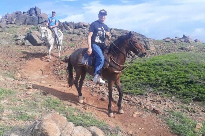 Aruba Private, 2 Hour Horseback Riding Tour For Advanced Riders - The ranch bar stop: drinks, coffee/tea, and Dutch grilled sandwiches