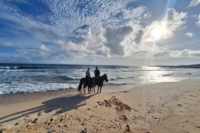 Aruba Private, 2 Hour Horseback Riding Tour For Advanced Riders - Getting there: hotel pickup, timing, and Rancho Notorious