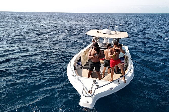 Aruba Private Boat Charter: Morning, Afternoon or Sunset Cruise - The snorkeling stop: clear water, tropical life, and sea turtles