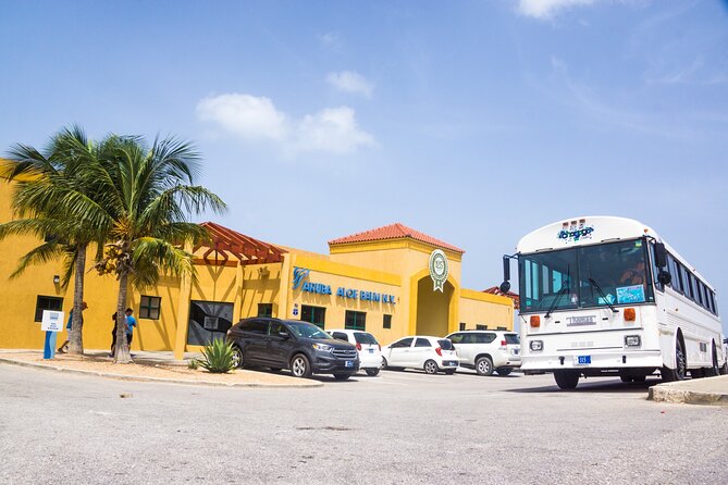 Aruba Private Full Island Tour - Entering Aruba: why a private full-island drive beats the rental-car scramble