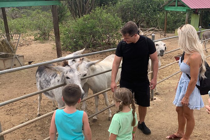 Aruba Private Island tour A/C Van - Aruba Highlights in 3–4 Hours: What You’re Really Buying