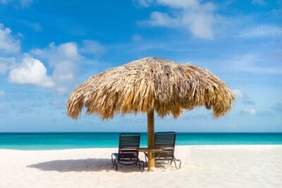 Aruba Private Tour with SeaFood/Caribbean Food Included - The guide experience: local insight with zero stress