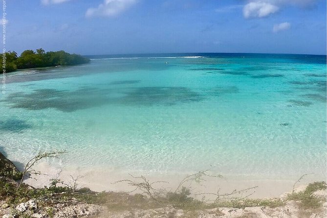 Aruba Snorkeling Tour: Mangel Halto and Baby Beach - What’s included in the $115 price (and what that means for you)