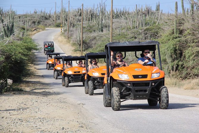 Aruba UTV Tour with Natural Cave Pool and Cliff Jumping - Who this tour suits best (and who should think twice)
