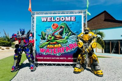 Aruba Waterpark Daypass - Stop 1: Aruba Waterpark—11 waterslides and 3 pools, all under one roof-like plan