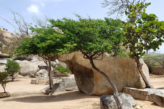 Arubabound Transfers - Why This Private Transfer Beats Aruba’s Taxi Shuffle