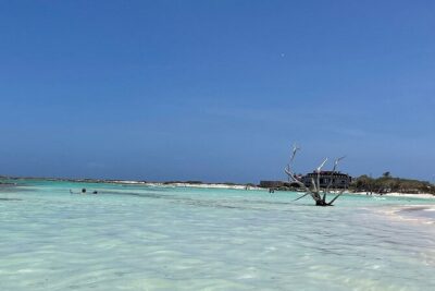 Aruban Local Lunch and Baby Beach Snorkeling - Small Aruban Stew Lunch: Included, Simple, and Filling Enough