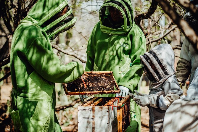 Aruba´s Bee Haven Private Adventure - Honey tasting and apiculture products: what to expect